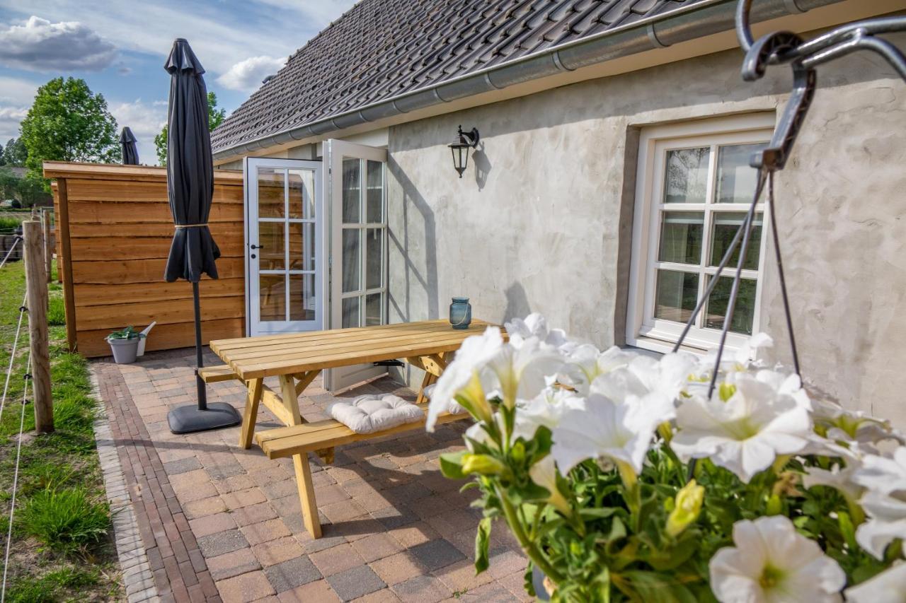 B&B Hoeve Klein Haneveld Sint-Oedenrode Exterior foto